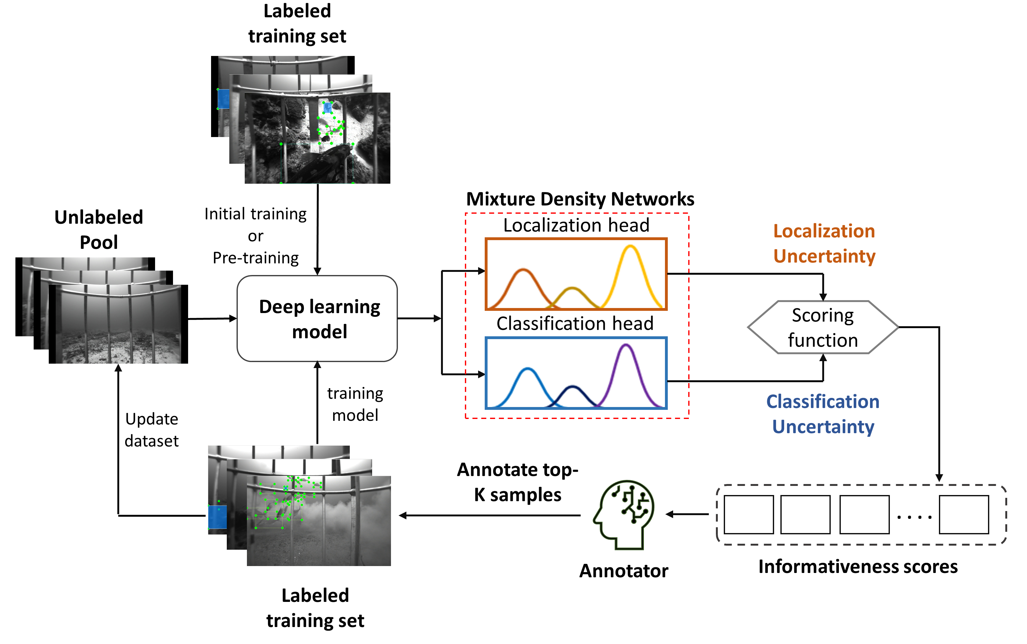 Probabilistic Model-based Active Learning