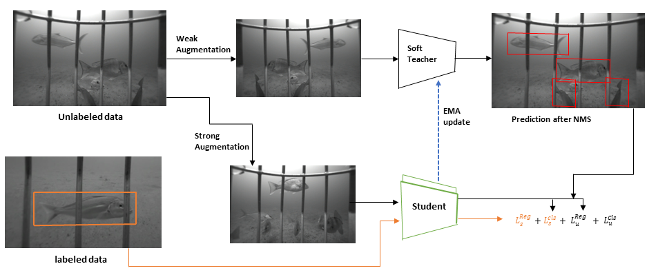 Multi-Sensor Fusion
