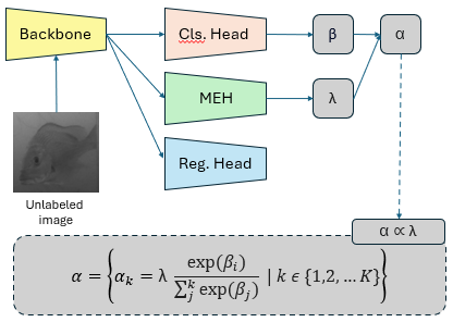 Active detection for underwater fish recognition