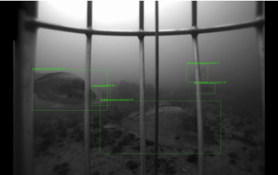 Inconsistency-based active learning visualization